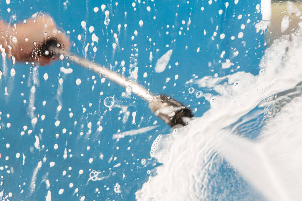 Best Roof Washing  in Carrollwood, FL