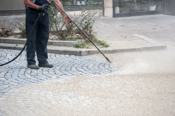 Best Winterizing Services  in Carrollwood, FL