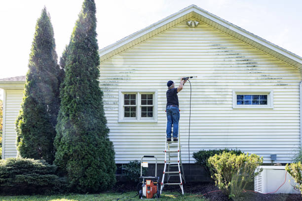 Best Fence Cleaning  in Carrollwood, FL
